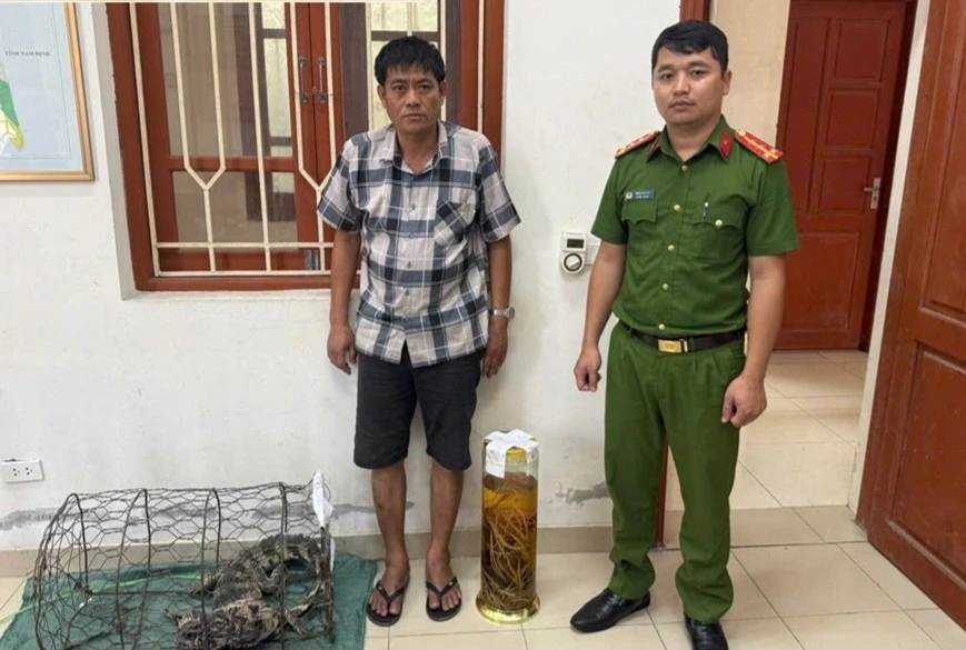 Khởi tố người đàn ông tàng trữ bình rượu ngâm tay gấu Khởi tố người đàn ông tàng trữ bình rượu ngâm tay gấu