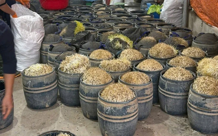 Khởi tố người phụ nữ làm giá đỗ bằng hóa chất độc hại, bán hơn 500 tấn ra chợ đầu mối Khởi tố người phụ nữ làm giá đỗ bằng hóa chất độc hại, bán hơn 500 tấn ra chợ đầu mối