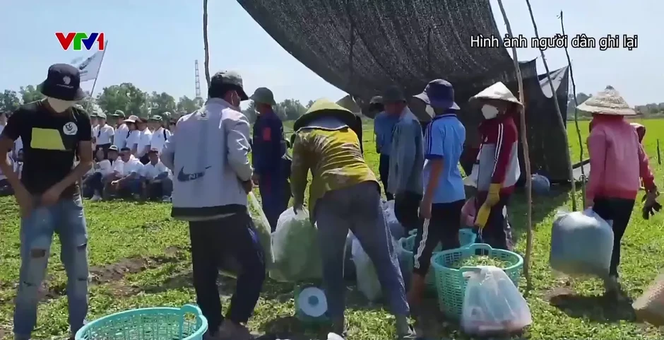 Khởi tố vụ lừa đảo hơn 1.038 tỷ đồng dưới chiêu bài đầu tư trồng rau má Khởi tố vụ lừa đảo hơn 1.038 tỷ đồng dưới chiêu bài đầu tư trồng rau má