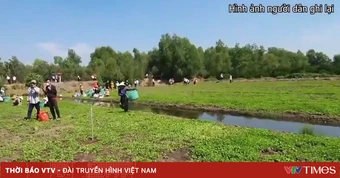 Khởi tố vụ lừa đảo hơn 1.038 tỷ đồng dưới chiêu bài đầu tư trồng rau má