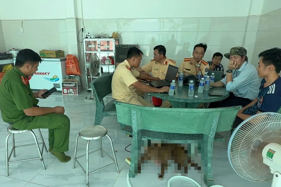 Kiểm tra 2 trang trại heo, phát hiện nước thải có chỉ số ô nhiễm vượt chuẩn hơn 31 lần Kiểm tra 2 trang trại heo, phát hiện nước thải có chỉ số ô nhiễm vượt chuẩn hơn 31 lần