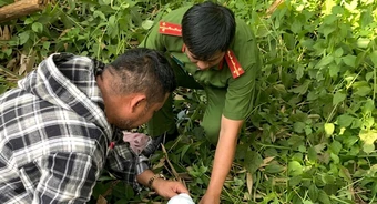 Kiểm tra 2 trang trại heo, phát hiện nước thải có chỉ số ô nhiễm vượt chuẩn hơn 31 lần