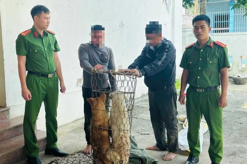 Kiểm tra hành chính phát hiện "cẩu tặc" trang bị bình xịt hơi cay, bột ớt Kiểm tra hành chính phát hiện "cẩu tặc" trang bị bình xịt hơi cay, bột ớt