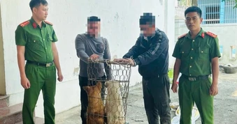 Kiểm tra hành chính phát hiện "cẩu tặc" trang bị bình xịt hơi cay, bột ớt