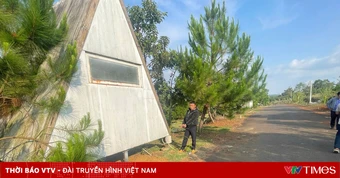 Lâm Đồng: Tóm gọn băng nhóm chuyên “khoét vách” homestay