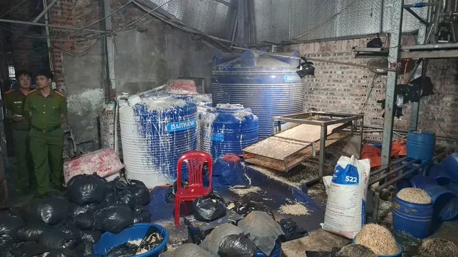 Lào Cai: Khởi tố đối tượng sản xuất khoảng 510 tấn giá đỗ bằng hóa chất độc hại Lào Cai: Khởi tố đối tượng sản xuất khoảng 510 tấn giá đỗ bằng hóa chất độc hại
