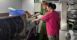 Lệnh bắt giam Giám đốc Nguyễn Thế Vinh, khởi tố loạt nhân viên Dược mỹ phẩm Vintechpharm