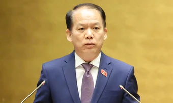 Luật sư công không được cung cấp dịch vụ cho khách hàng ngoài nhà nước