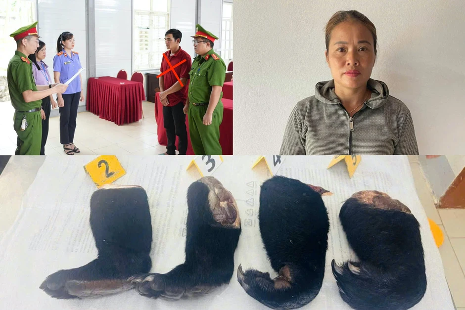 Mua tay gấu, mật gấu bán kiếm lời, hai đối tượng bị khởi tố Mua tay gấu, mật gấu bán kiếm lời, hai đối tượng bị khởi tố