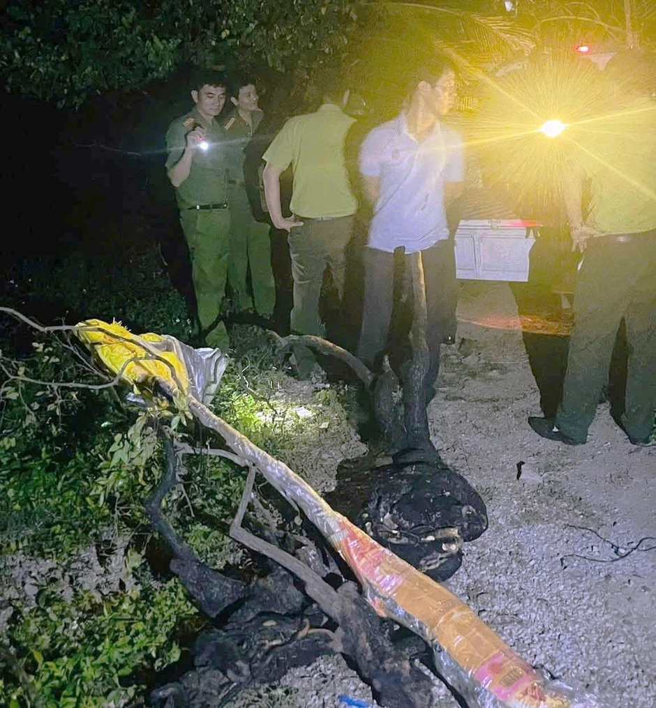 Nam thanh niên khai thác, vận chuyển 6 cây muội hồng bị xử lý thế nào? Nam thanh niên khai thác, vận chuyển 6 cây muội hồng bị xử lý thế nào?