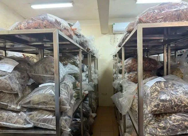 Ngăn chặn tình trạng kinh doanh dược liệu không rõ nguồn gốc Ngăn chặn tình trạng kinh doanh dược liệu không rõ nguồn gốc