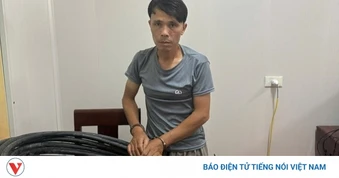 Nghệ An: Khởi tố đối tượng gây nhiều vụ cắt trộm cáp điện ngầm