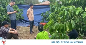 Nghi án chồng giết vợ rồi bỏ trốn về quê