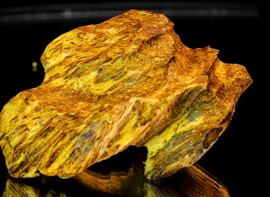 Người đàn ông bị 2 người bạn dàn dựng, mua kỳ nam giả 300 triệu đồng Người đàn ông bị 2 người bạn dàn dựng, mua kỳ nam giả 300 triệu đồng