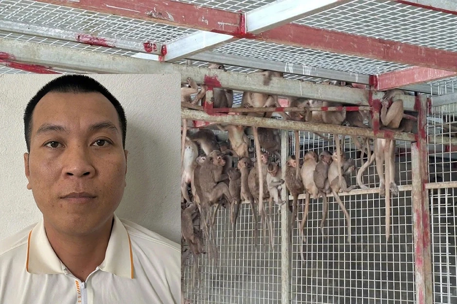 Người đàn ông ở Ninh Bình cầm đầu đường mua bán hồng hoàng, rái cá Người đàn ông ở Ninh Bình cầm đầu đường mua bán hồng hoàng, rái cá
