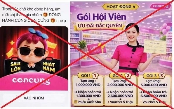 Người phụ nữ "bay" gần 1 tỷ đồng khi bị lừa tham gia nhóm Đồng hành cùng Con Cưng