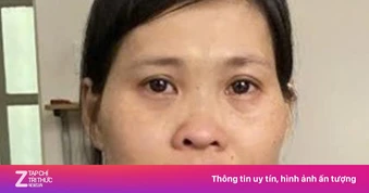 Nguyên cán bộ địa chính phường làm giả hồ sơ, lừa chiếm đoạt gần 29 tỷ