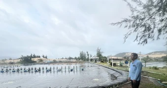 Nhận định của TAND tỉnh Khánh Hòa về việc tòa hình sự không có thẩm quyền hủy sổ hồng