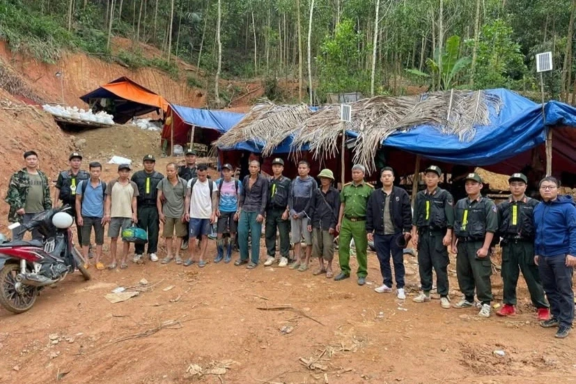 Nhận tiền để làm ngơ cho "vàng tặc", nữ cán bộ công ty lâm nghiệp bị bắt