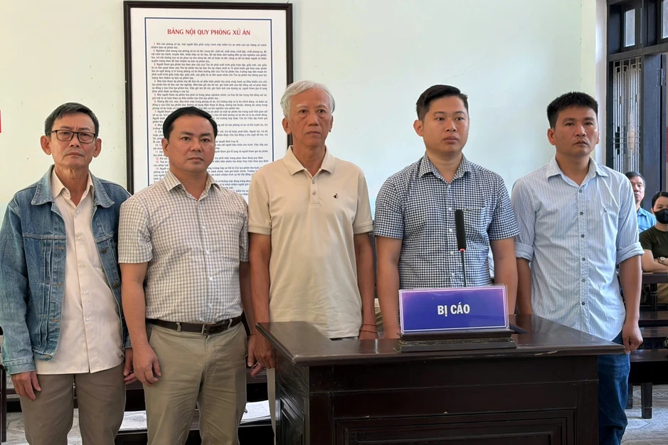 Nhiều cựu cán bộ lĩnh án tù liên quan việc tận thu rừng cháy Nhiều cựu cán bộ lĩnh án tù liên quan việc tận thu rừng cháy