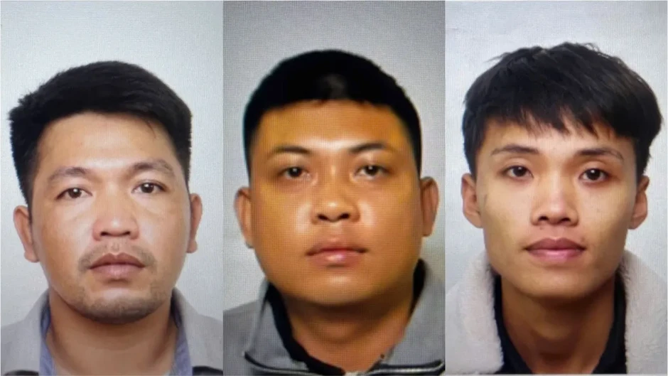 Ninh Bình triệt phá nhóm chuyên trộm cắp dây cáp điện chiếu sáng Ninh Bình triệt phá nhóm chuyên trộm cắp dây cáp điện chiếu sáng