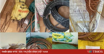 Ninh Bình triệt phá nhóm chuyên trộm cắp dây cáp điện chiếu sáng