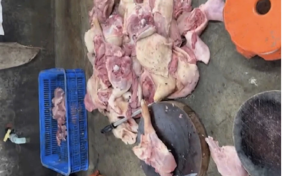Phá đường dây tiêu thụ heo bệnh ở Đồng Nai, bắt 3 đối tượng liên quan