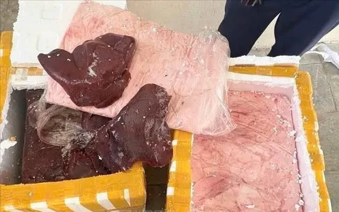 Phạt 8 triệu đồng, tiêu hủy 148kg gan và mỡ lợn không rõ nguồn gốc Phạt 8 triệu đồng, tiêu hủy 148kg gan và mỡ lợn không rõ nguồn gốc