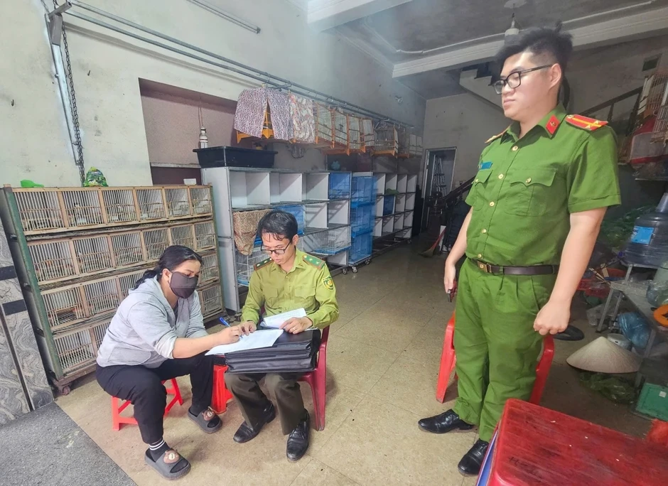 Phát hiện ba trường hợp nuôi nhốt gần 1.000 chim hoang dã ở Hải Phòng Phát hiện ba trường hợp nuôi nhốt gần 1.000 chim hoang dã ở Hải Phòng