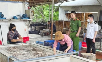 Phát hiện cơ sở kinh doanh hơn 3 tấn lòng lợn mốc và bốc mùi