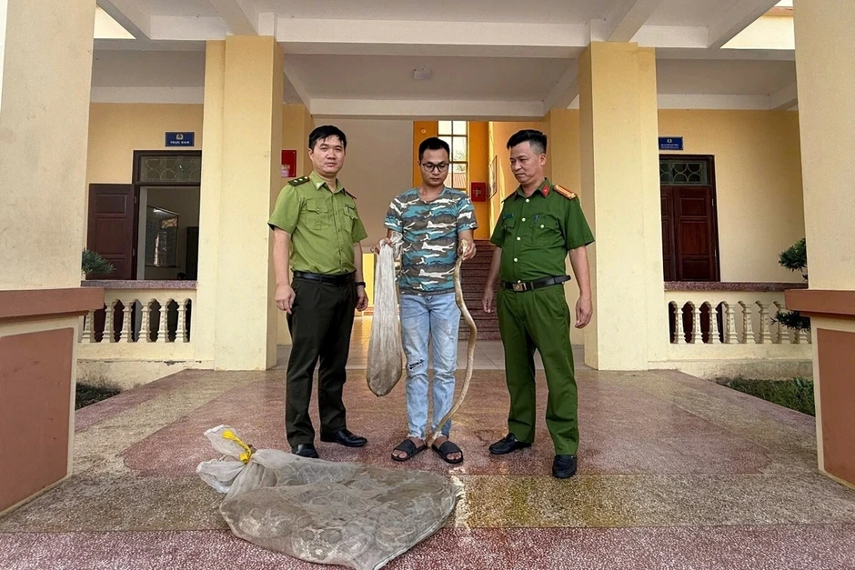 Phát hiện điểm nuôi nhốt trái phép 10 cá thể trăn, rắn hổ mang quý hiếm Phát hiện điểm nuôi nhốt trái phép 10 cá thể trăn, rắn hổ mang quý hiếm