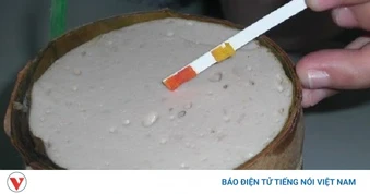 Phát hiện gần 100kg hàn the tại cơ sở sản xuất giò chả ở Bình Giang, Ninh Bình