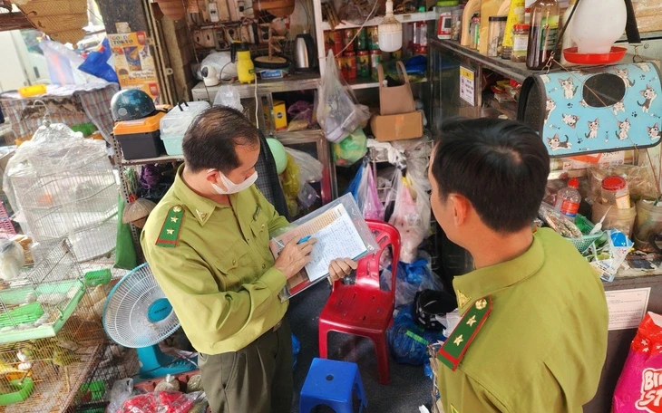 Phát hiện hàng chục con chim quý hiếm bị nuôi nhốt trái phép Phát hiện hàng chục con chim quý hiếm bị nuôi nhốt trái phép