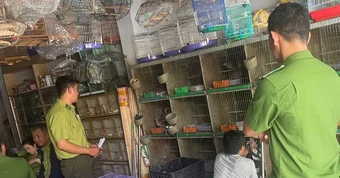 Phát hiện hàng chục con chim quý hiếm bị nuôi nhốt trái phép