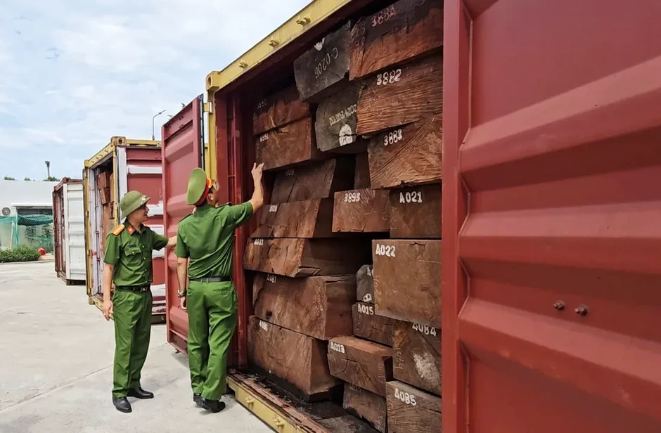 Phát hiện hơn 1,1 tấn ngà voi giấu trong lô gỗ nhập khẩu từ Congo Phát hiện hơn 1,1 tấn ngà voi giấu trong lô gỗ nhập khẩu từ Congo