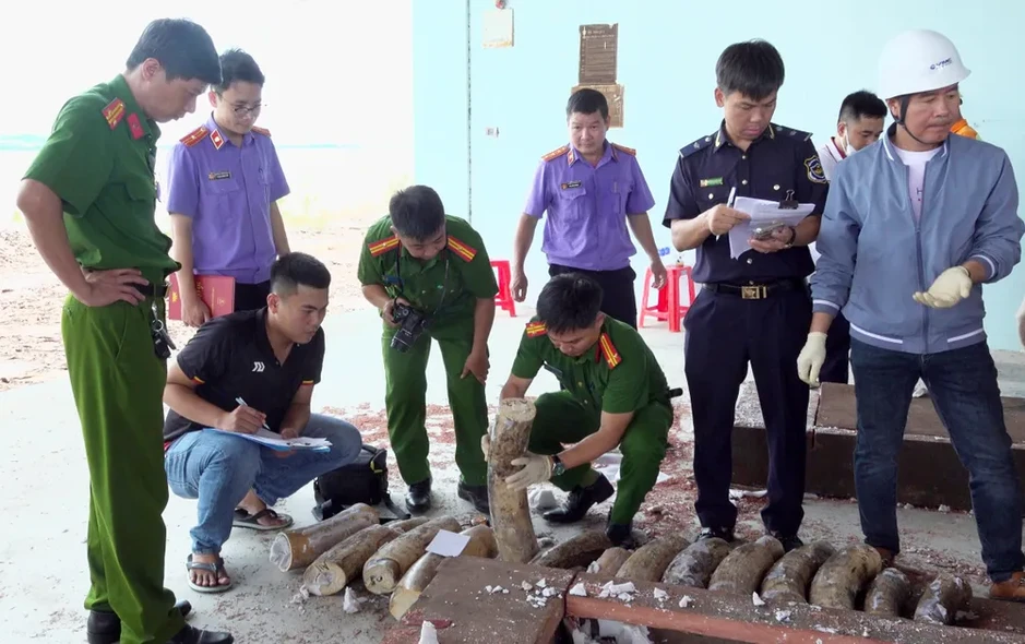 Phát hiện hơn 1,1 tấn ngà voi giấu trong lô gỗ nhập khẩu từ Congo Phát hiện hơn 1,1 tấn ngà voi giấu trong lô gỗ nhập khẩu từ Congo