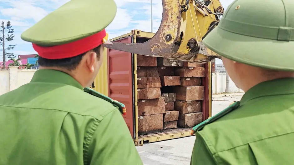 Phát hiện hơn 1,1 tấn ngà voi giấu trong lô gỗ nhập khẩu từ Congo Phát hiện hơn 1,1 tấn ngà voi giấu trong lô gỗ nhập khẩu từ Congo