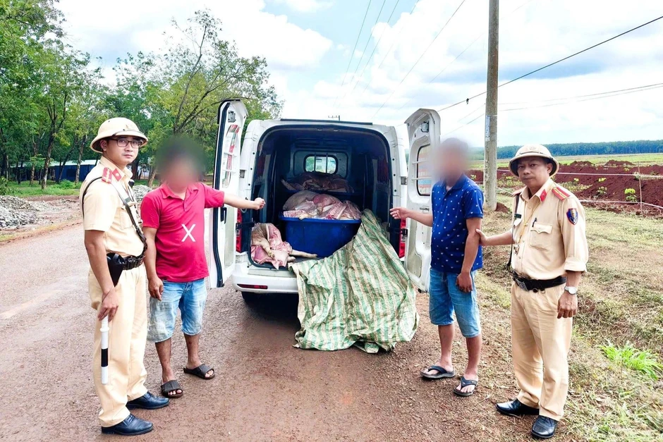 Phát hiện hơn 1 tấn thịt heo hôi thối được chở về TPHCM tiêu thụ Phát hiện hơn 1 tấn thịt heo hôi thối được chở về TPHCM tiêu thụ