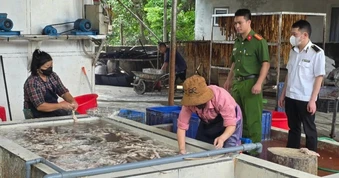 Phát hiện hơn 3 tấn lòng lợn bốc mùi tại một cơ sở ở Bắc Ninh