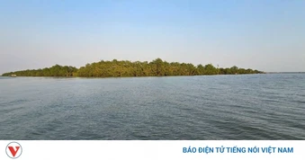 Phát hiện nhiều sai phạm tại dự án Khu du lịch sinh thái Cồn nổi Thanh Tân