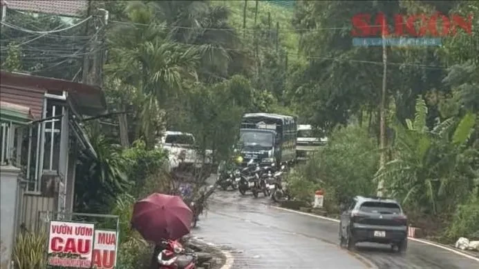 Phát hiện thi thể nữ nhân viên trường học trong rẫy cà phê Phát hiện thi thể nữ nhân viên trường học trong rẫy cà phê