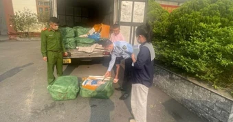 Phát hiện, thu giữ hơn 1,3 tấn nầm lợn bốc mùi hôi thối