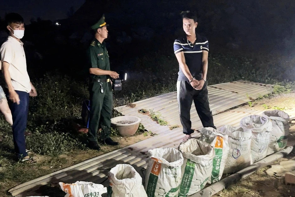 Phát hiện “tử thần” trong hàng chục bao đựng thức ăn gia súc Phát hiện “tử thần” trong hàng chục bao đựng thức ăn gia súc