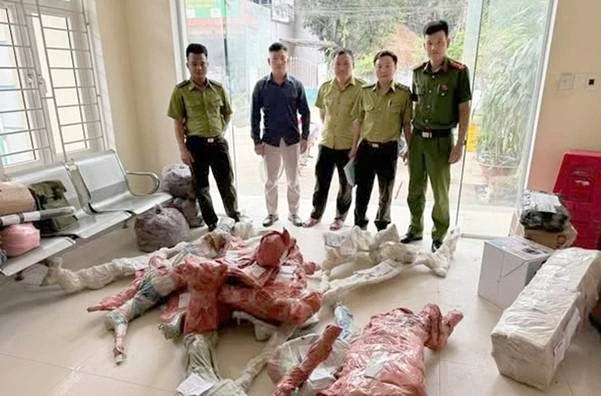 Phát hiện và tạm giữ 15 phôi cây Muội hồng không rõ nguồn gốc Phát hiện và tạm giữ 15 phôi cây Muội hồng không rõ nguồn gốc