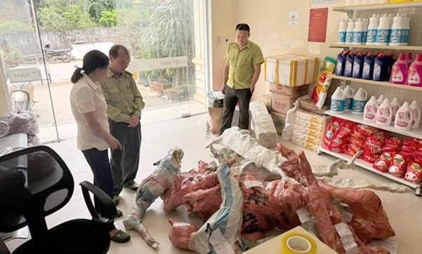 Phát hiện và tạm giữ 15 phôi cây Muội hồng không rõ nguồn gốc Phát hiện và tạm giữ 15 phôi cây Muội hồng không rõ nguồn gốc