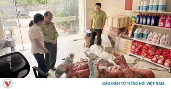 Phát hiện và tạm giữ 15 phôi cây Muội hồng không rõ nguồn gốc