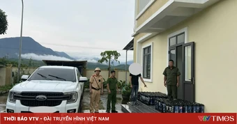 Phát hiện xe chở 148 bình nghi chứa "khí cười", xử phạt người phụ nữ trồng 62 cây cần sa
