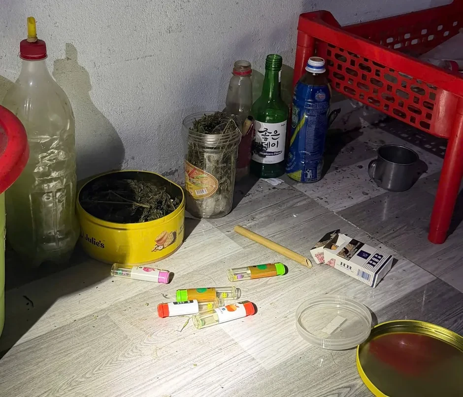 Phát hiện, xử lý một số người dân trồng cần sa tại nhà để sử dụng và bán Phát hiện, xử lý một số người dân trồng cần sa tại nhà để sử dụng và bán