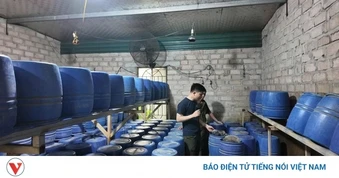 Phát hiện xưởng sản xuất giá đỗ sử dụng chất cấm tại Quảng Ninh
