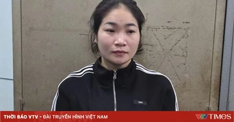 Phú Thọ: Khởi tố đối tượng lừa đảo hơn 4,6 tỷ đồng liên quan đến đất đai